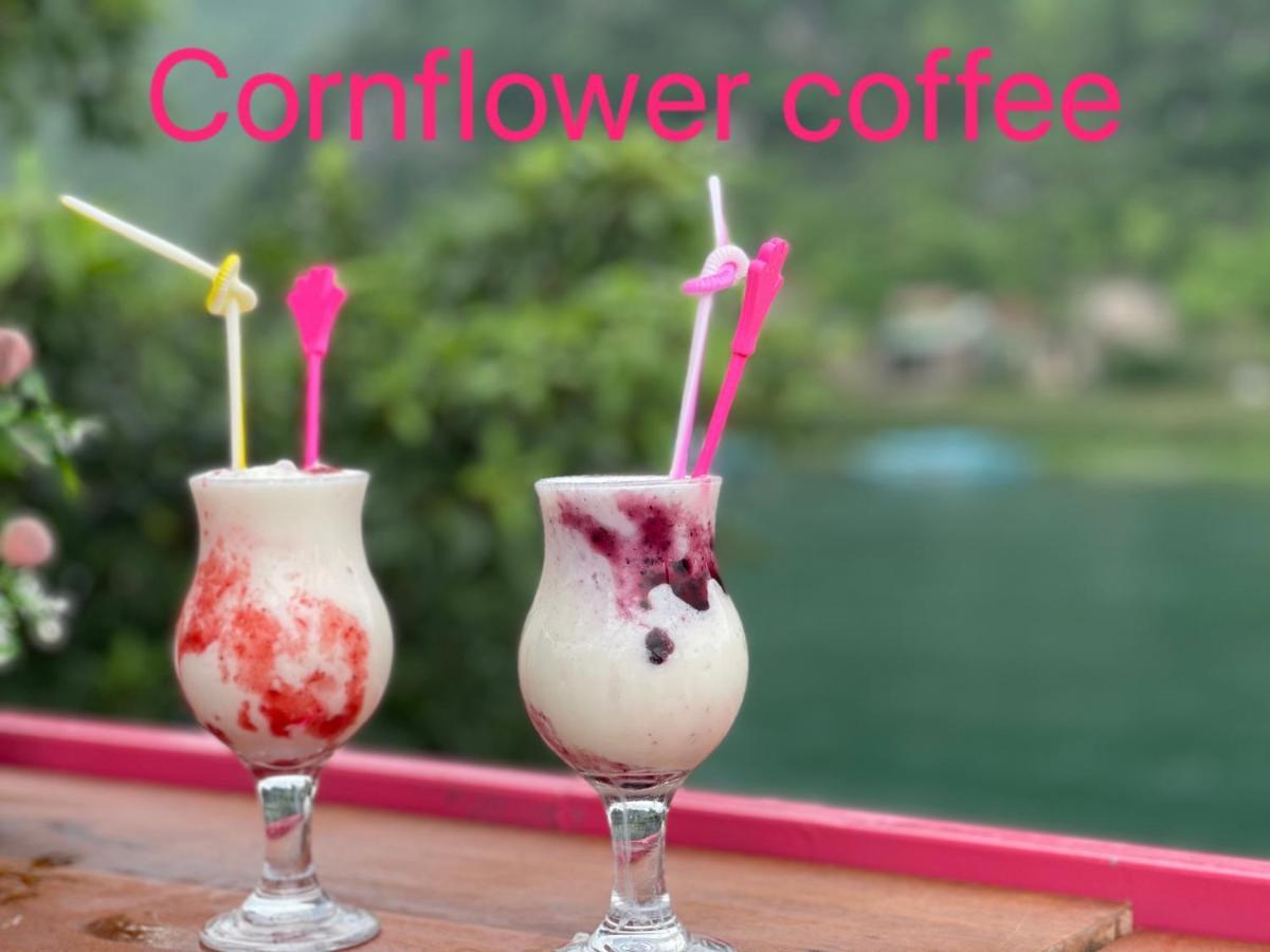 Cornflower Homestay Φονγκ Να Εξωτερικό φωτογραφία